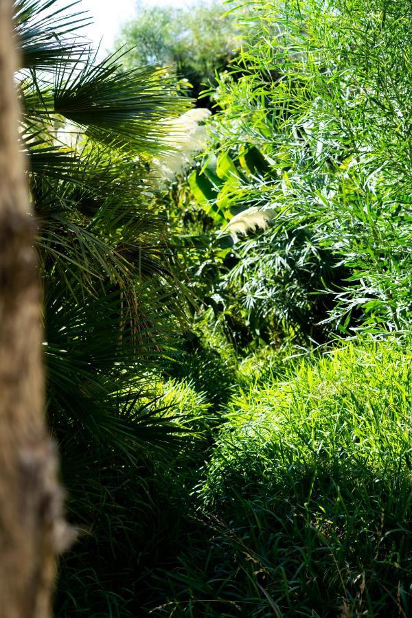 A Natural Retreat Mijas Bagian luar foto